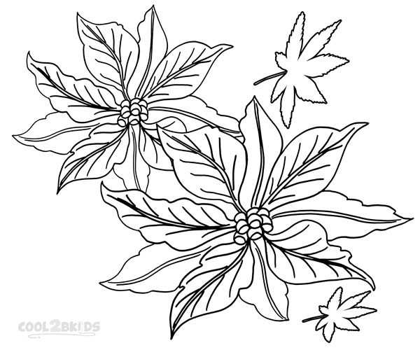 Poinsettias Coloring Pages
 Printable Poinsettia Coloring Pages For Kids