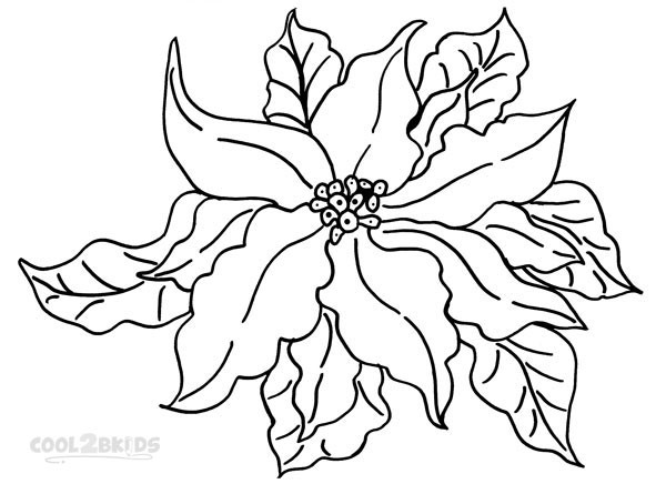 Poinsettias Coloring Pages
 Printable Poinsettia Coloring Pages For Kids