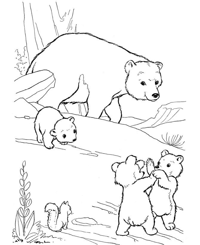 Polar Bear Coloring Sheet
 Free Printable Polar Bear Coloring Pages For Kids