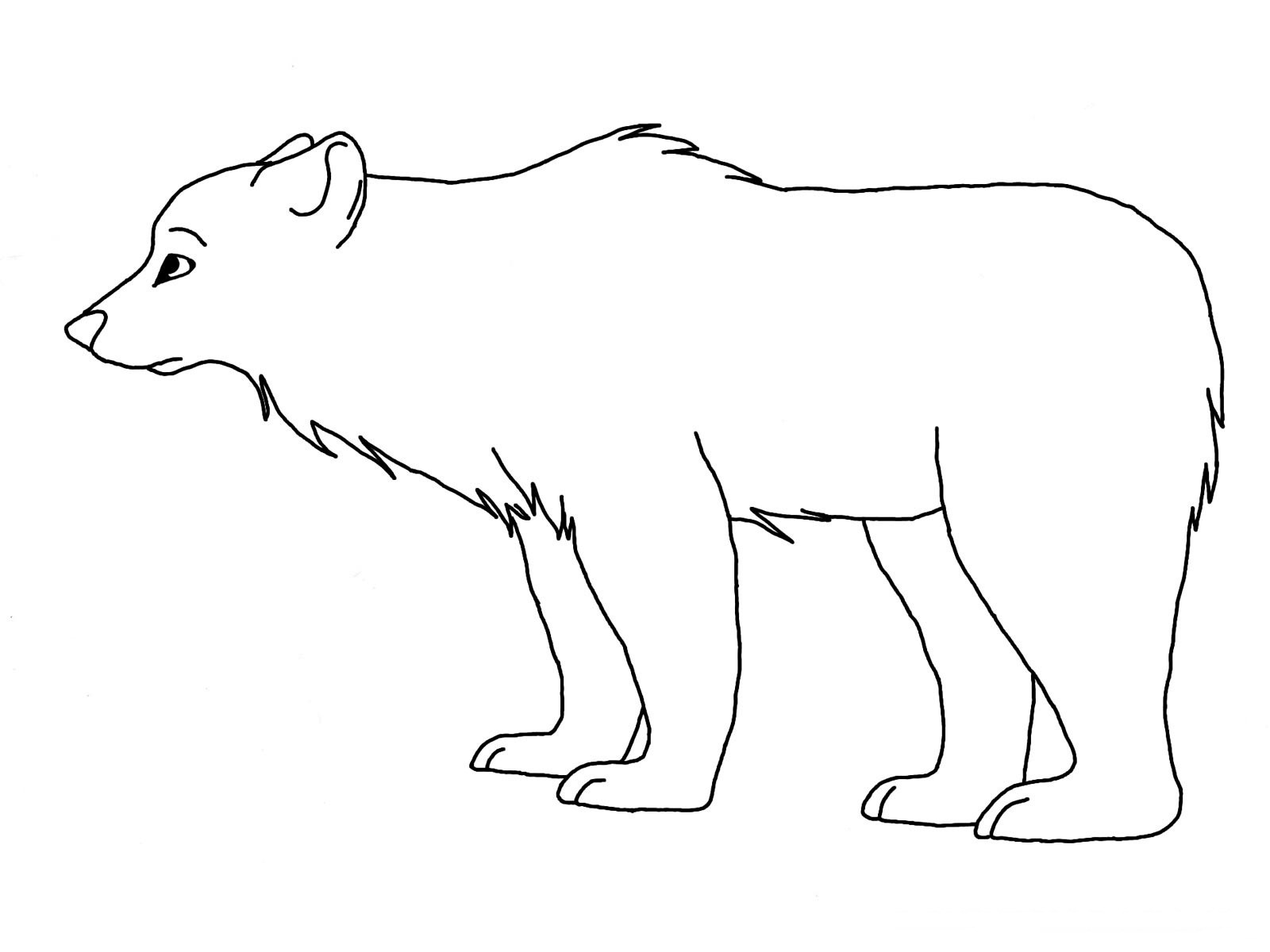 Polar Bear Coloring Sheet
 Free Printable Polar Bear Coloring Pages For Kids