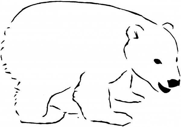 Polar Bear Coloring Sheet
 Cartoons