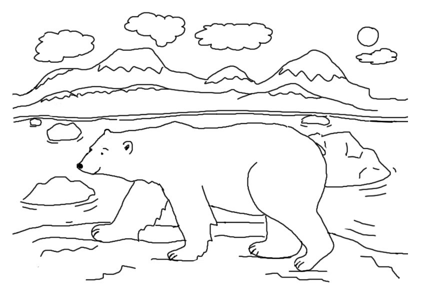 Polar Bear Coloring Sheet
 Free Printable Polar Bear Coloring Pages For Kids