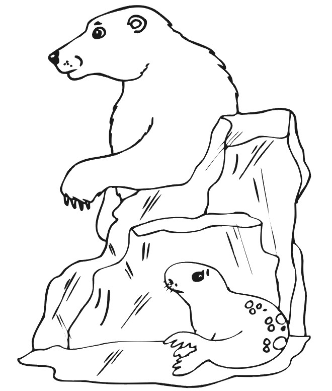 Polar Bear Coloring Sheet
 Free Printable Polar Bear Coloring Pages For Kids