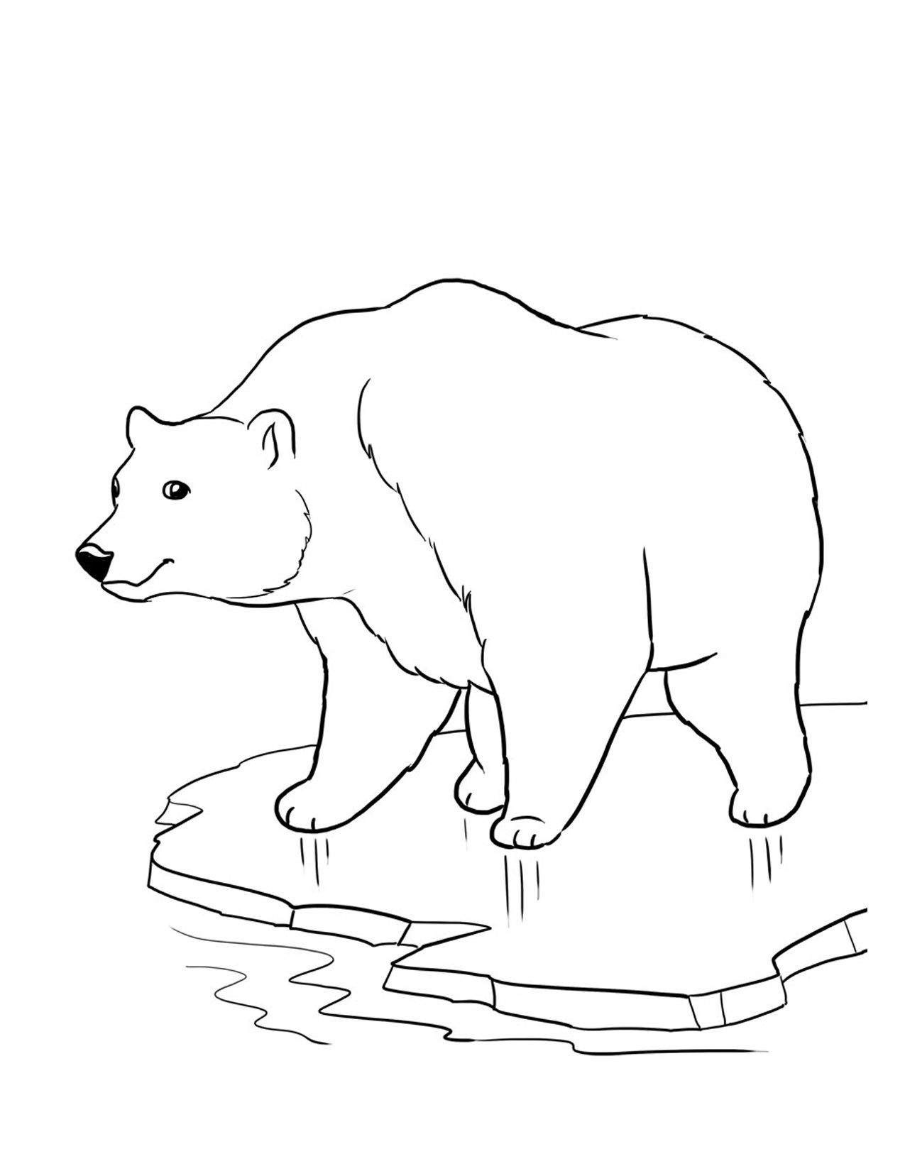 Polar Bear Coloring Sheet
 Free Printable Bear Coloring Pages For Kids