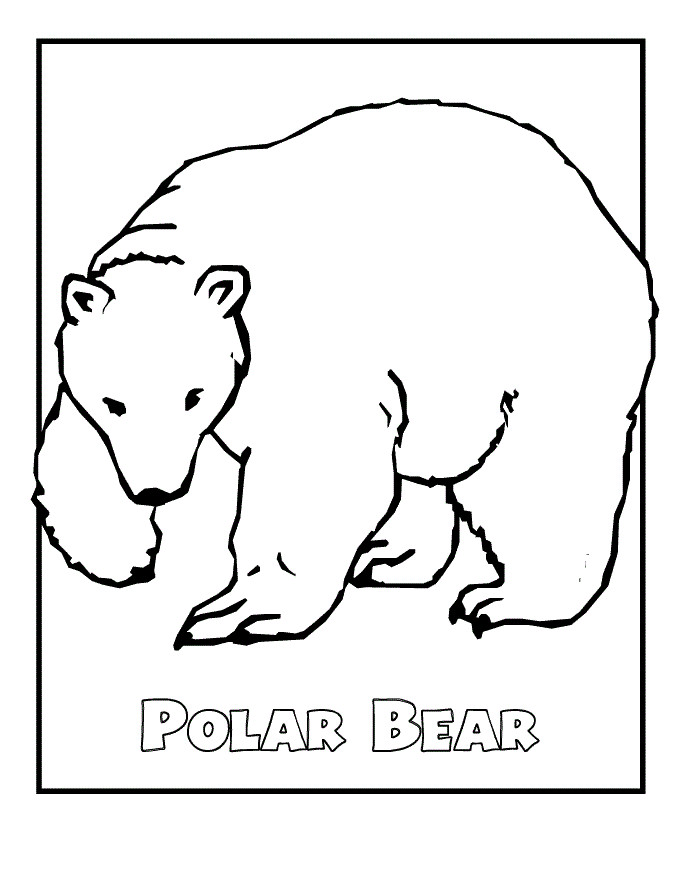 Polar Bear Coloring Sheet
 Free Printable Polar Bear Coloring Pages For Kids