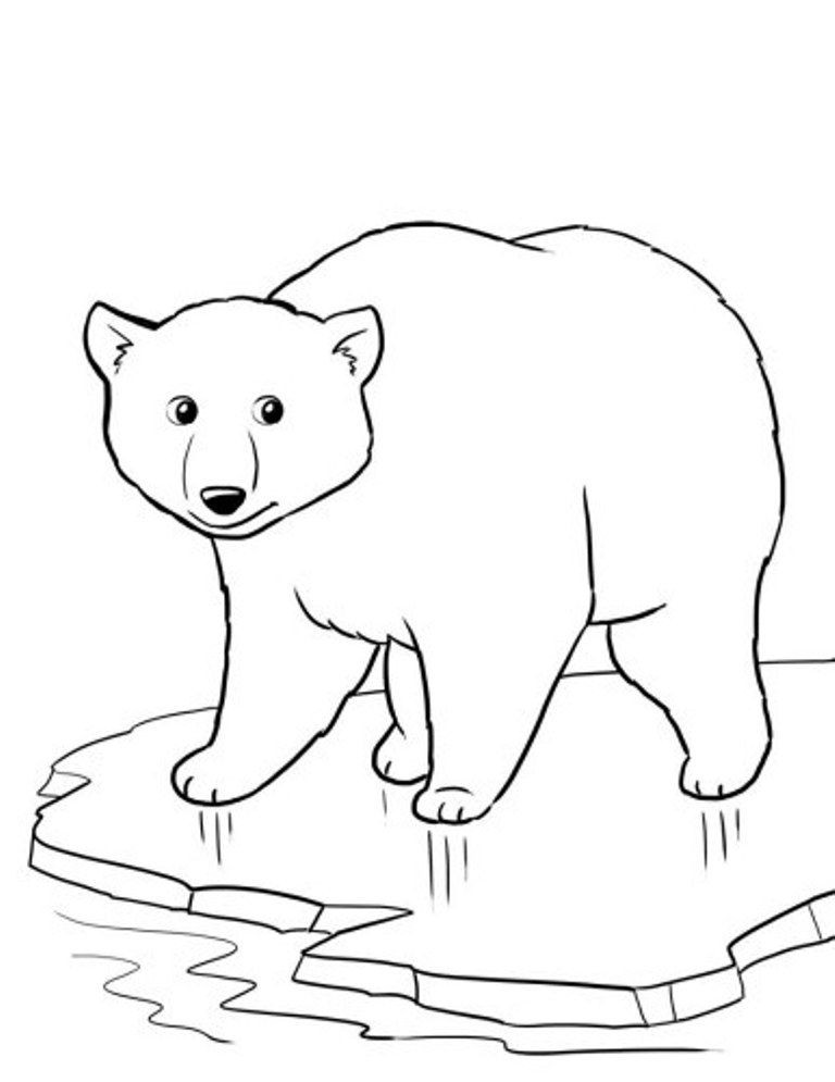 Polar Bear Coloring Sheet
 Polar Bear Color Page Coloring Home