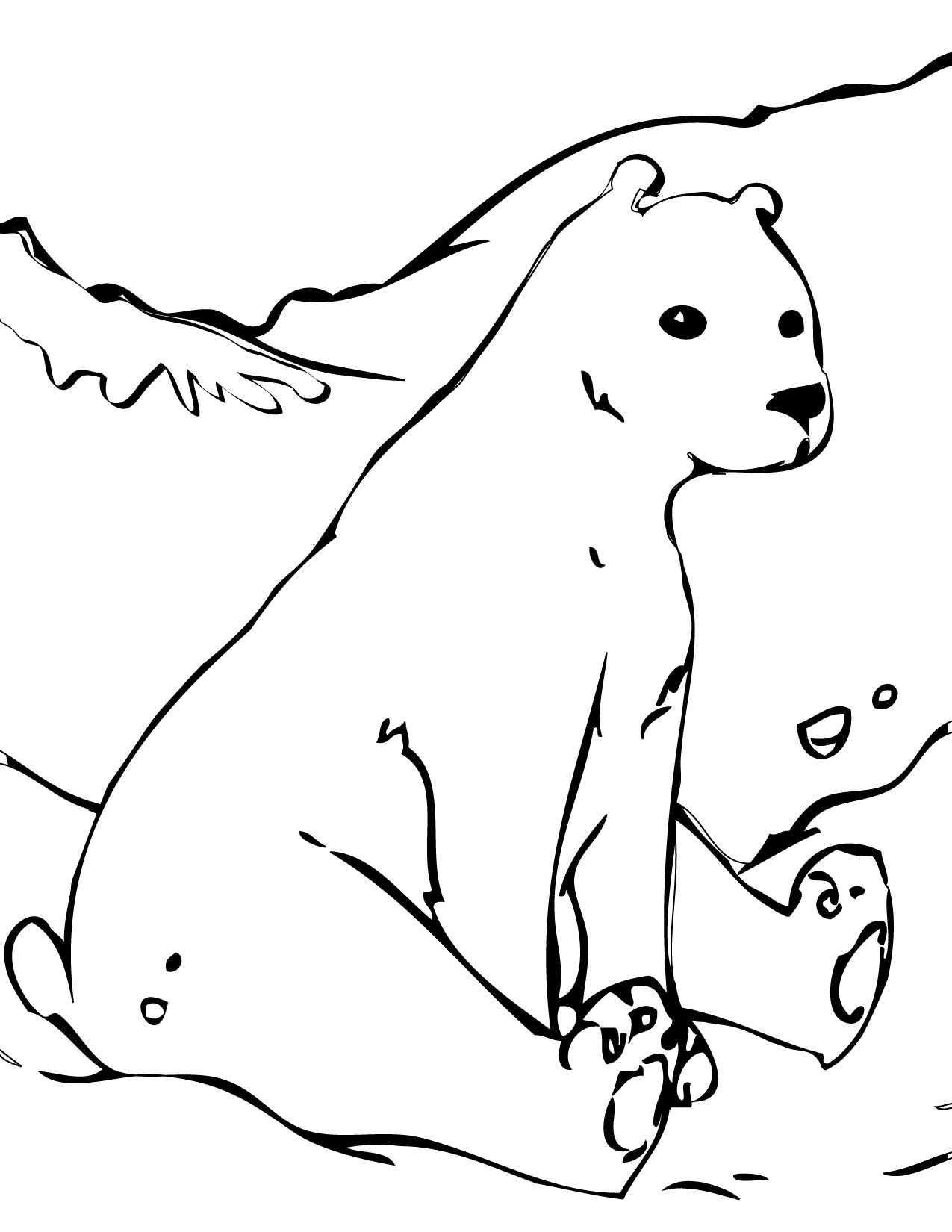 Polar Bear Coloring Sheet
 Free Printable Polar Bear Coloring Pages For Kids