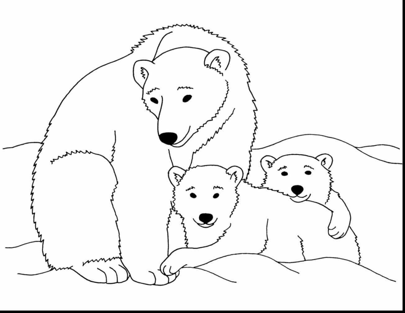 Polar Bear Coloring Sheet
 Polar Bear Coloring Sheet Page Image Clipart