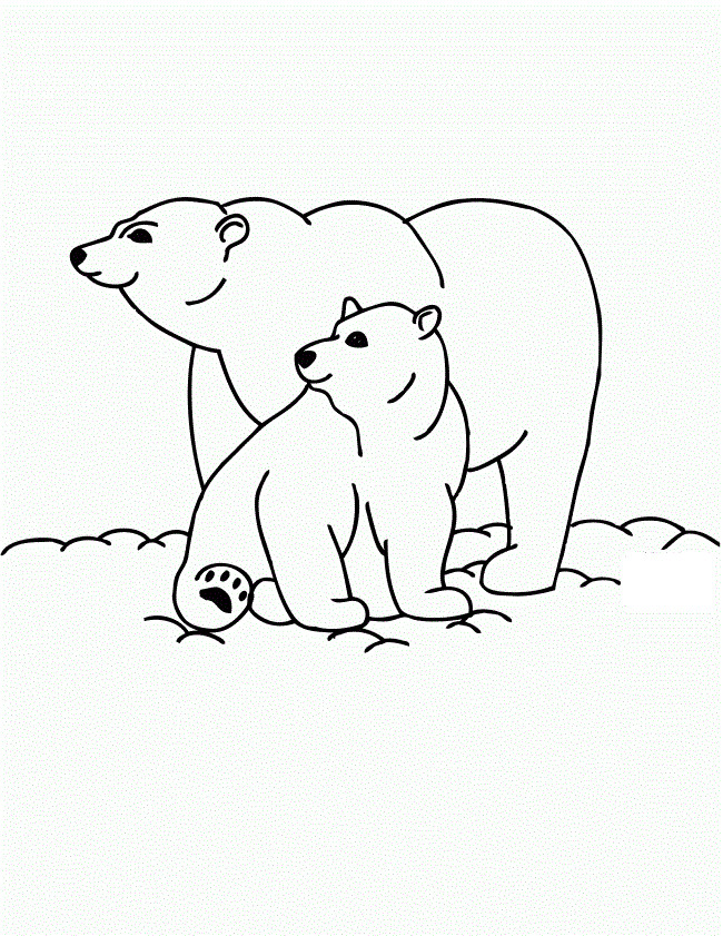 Polar Bear Coloring Sheet
 Free Printable Polar Bear Coloring Pages For Kids