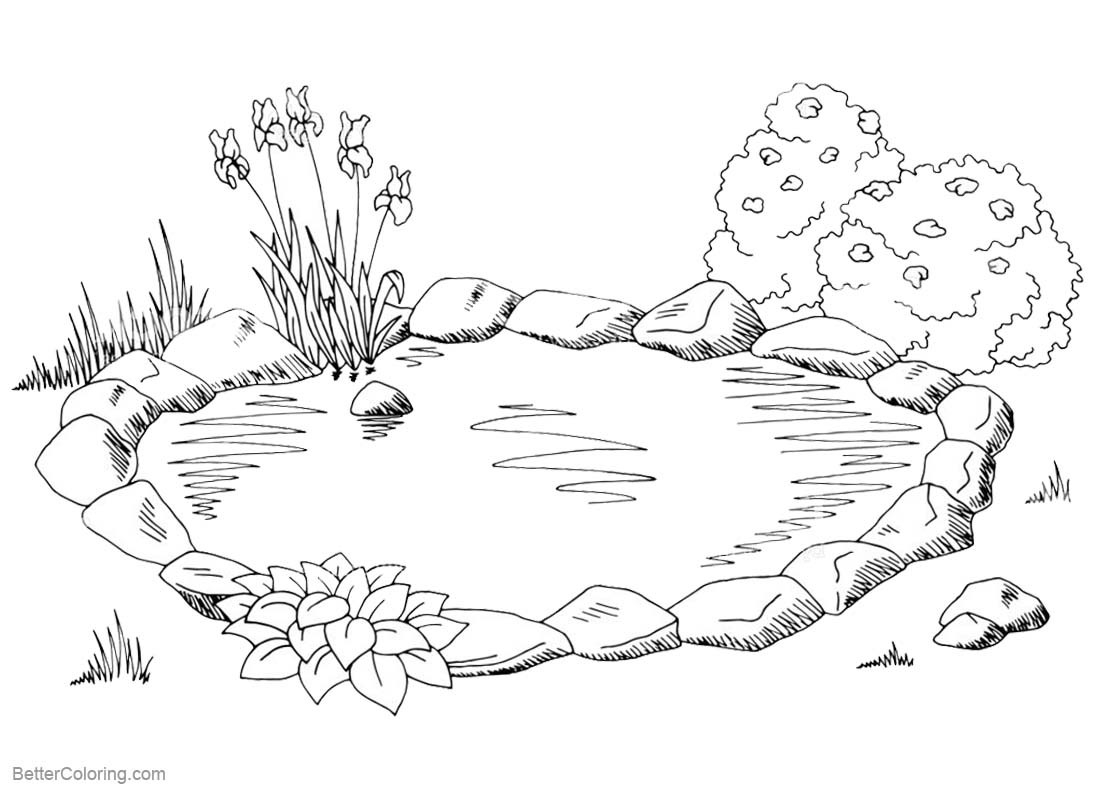 Ponds Coloring Pages
 Pond Coloring Pages Sketch Free Printable Coloring Pages