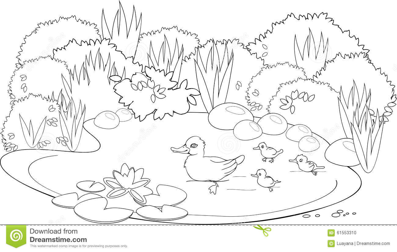 Ponds Coloring Pages
 Pond coloring Download Pond coloring