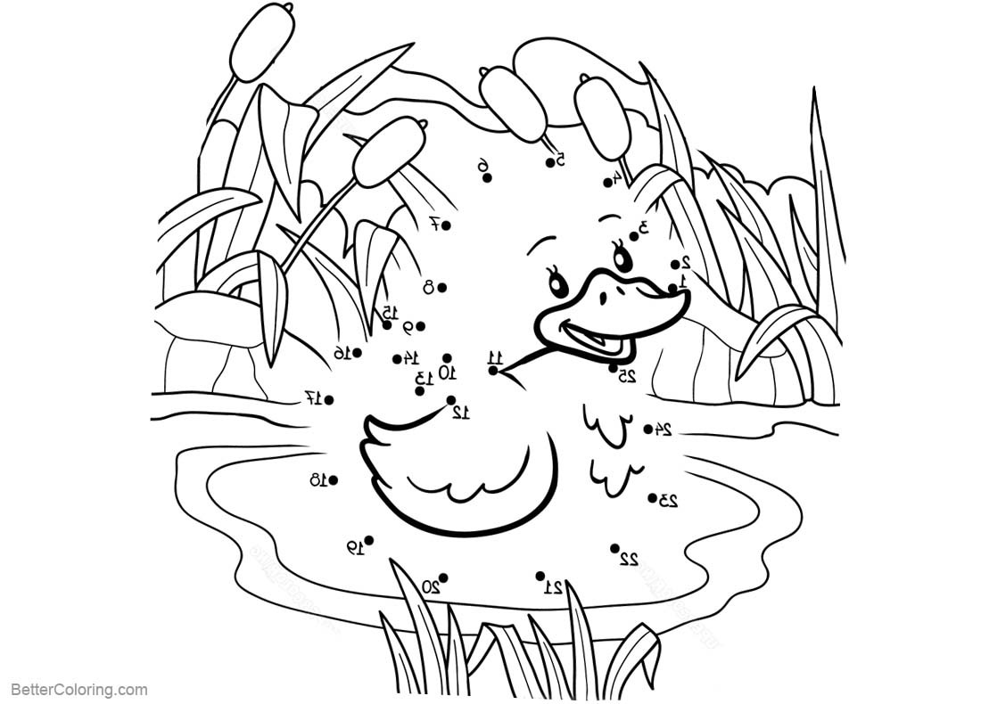 Ponds Coloring Pages
 Pond Coloring Pages Connects the Dots by Number Free