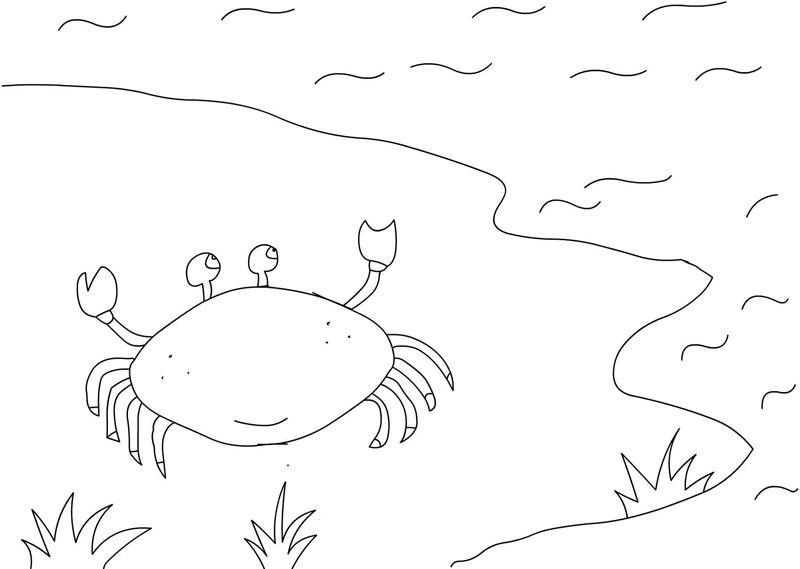 Ponds Coloring Pages
 Pond Animals Free Colouring Pages