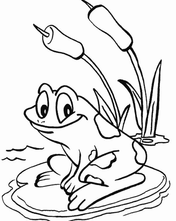 Ponds Coloring Pages
 coloring pages of around the pond