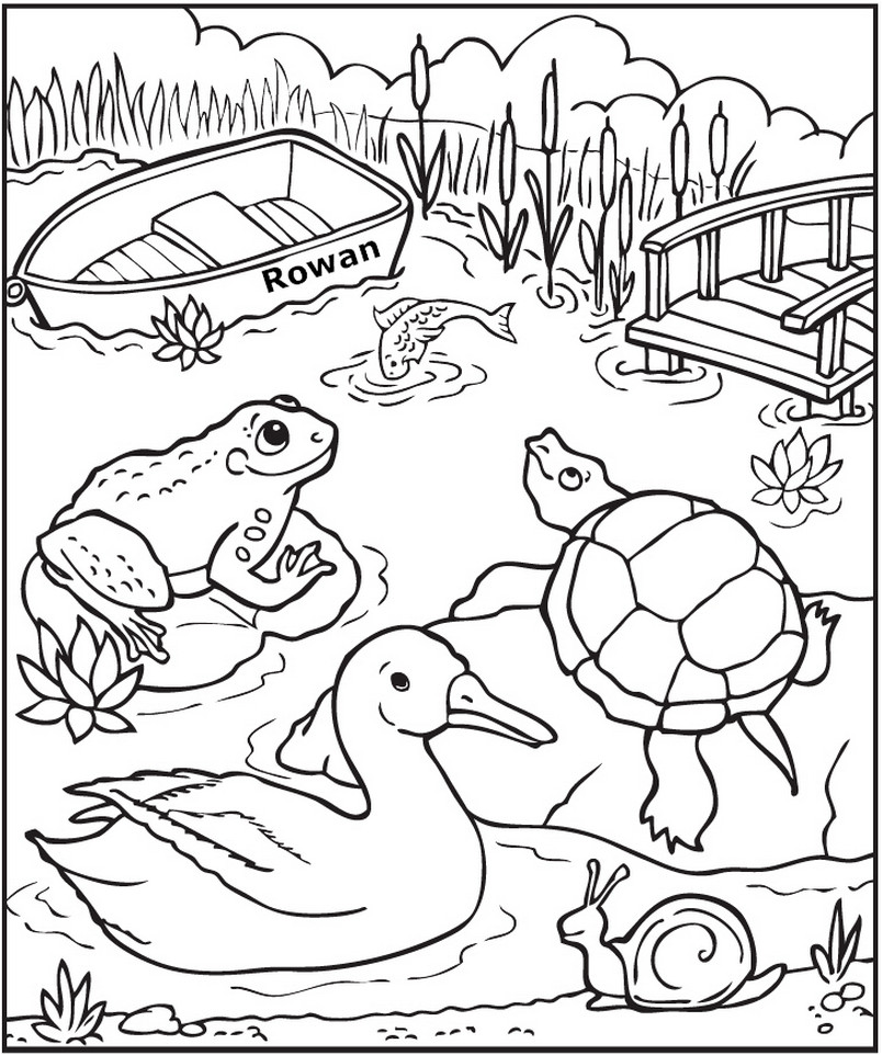 Ponds Coloring Pages
 Personalized Down at the Pond Coloring Page
