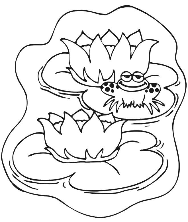 Ponds Coloring Pages
 Pond Coloring Page Coloring Home