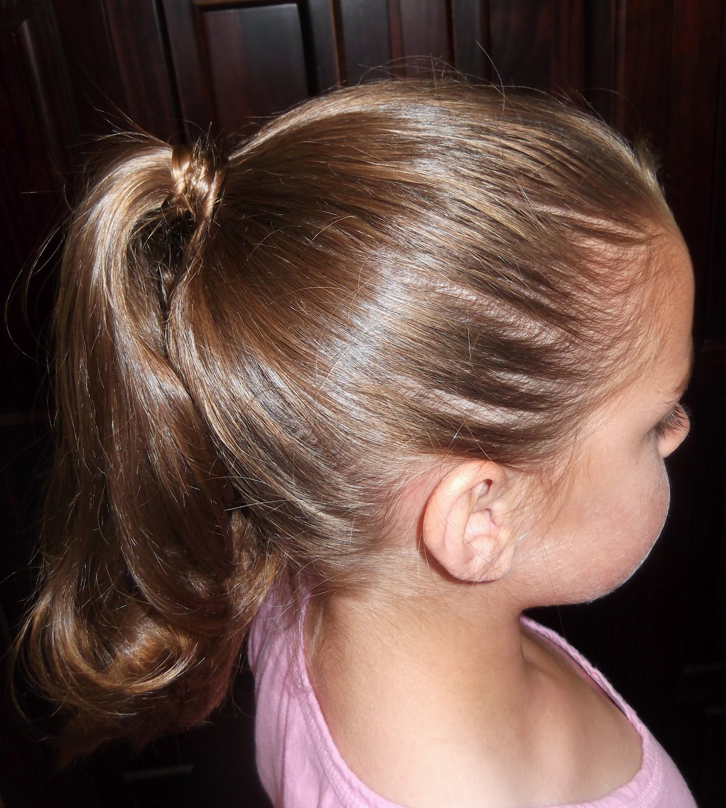 Ponytail Hairstyles For Little Girls
 Little Girl Ponytail Hairstyles