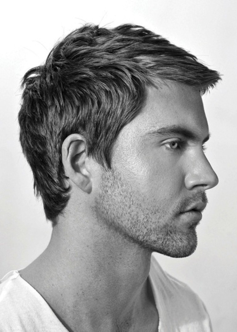 Best ideas about Popular Mens Haircuts Short
. Save or Pin Best Short Hairstyles for Men Now.