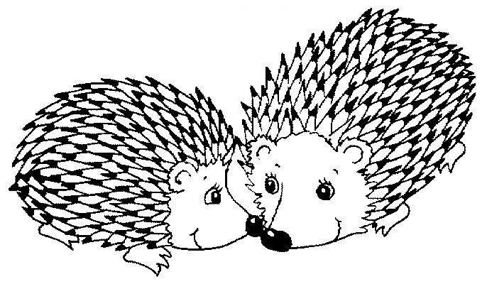 Porcupine Coloring Pages
 The Fable of the Porcupines