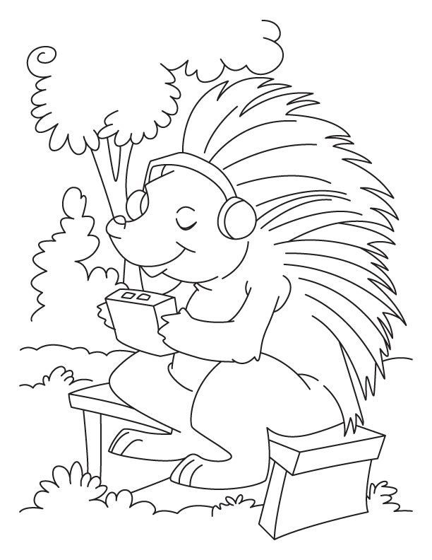 Porcupine Coloring Pages
 Porcupine Coloring Pages Coloring Home
