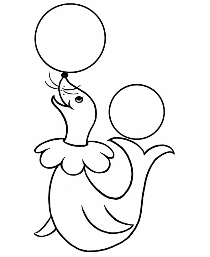 Prek Coloring Pages
 Coloring Pages for Kindergarten Bestofcoloring