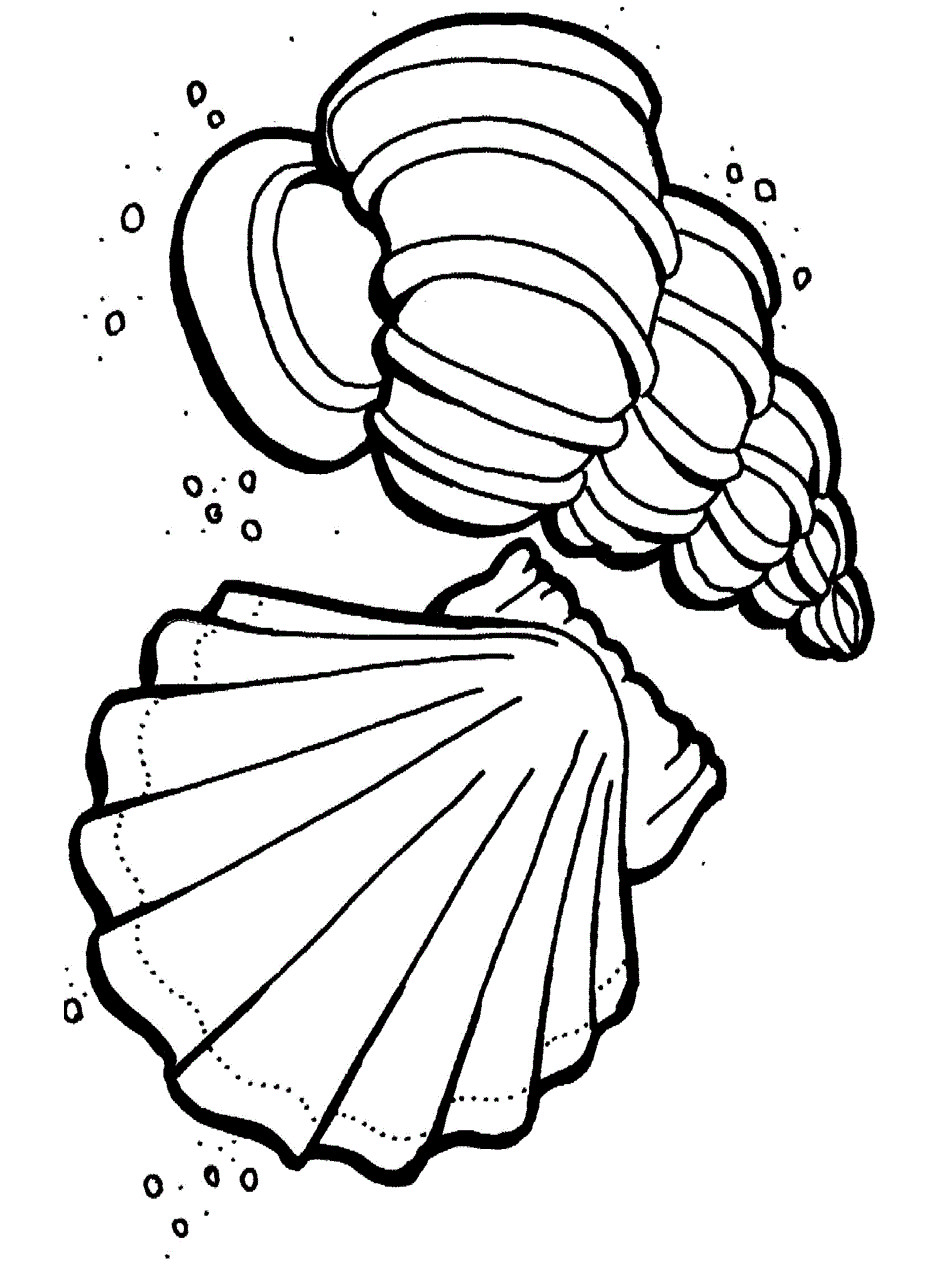 Preschool Coloring Sheets Ocean
 Free Printable Ocean Coloring Pages For Kids