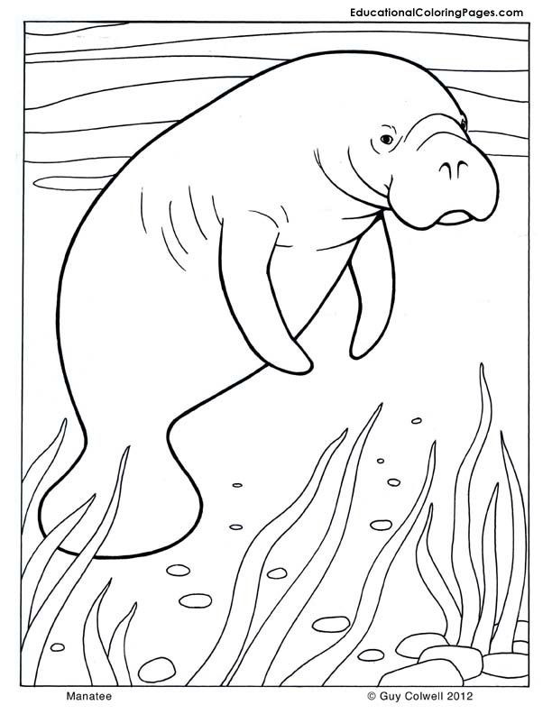 Preschool Coloring Sheets Ocean
 Preschool Ocean Coloring Pages AZ Coloring Pages