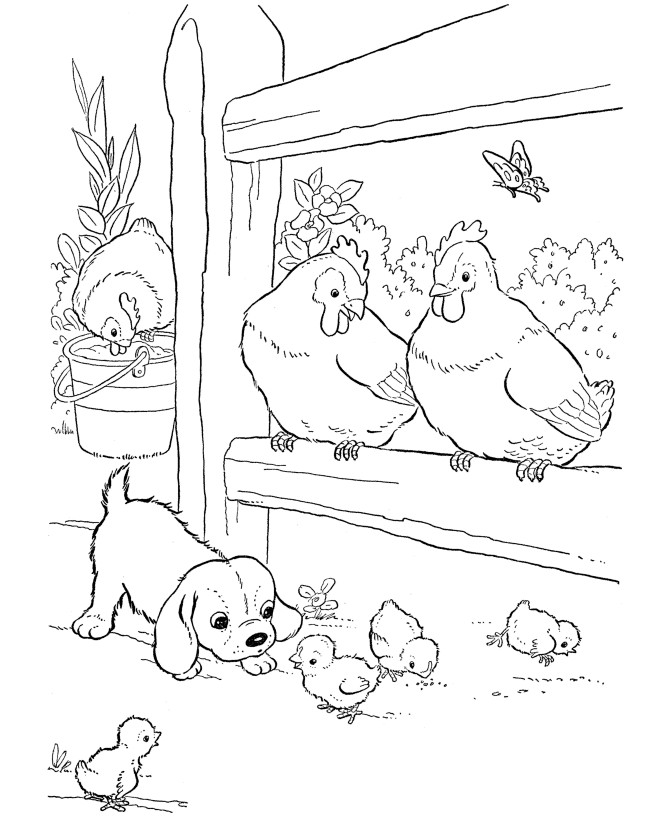 Preschool Coloring Sheets Of A Chicken Free Printable
 Farm Animal Coloring Pages Bestofcoloring