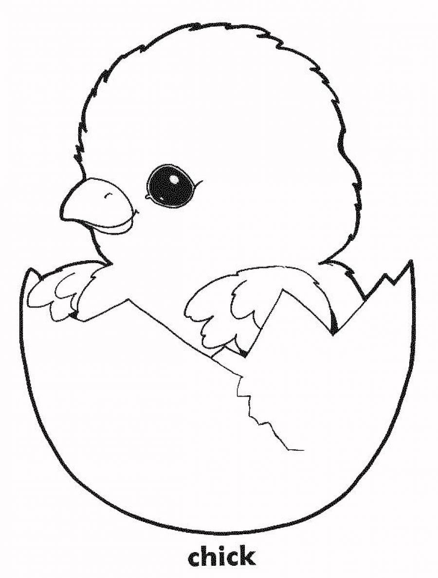 Preschool Coloring Sheets Of A Chicken Free Printable
 Printable Chicken Coloring Pages Coloring Home