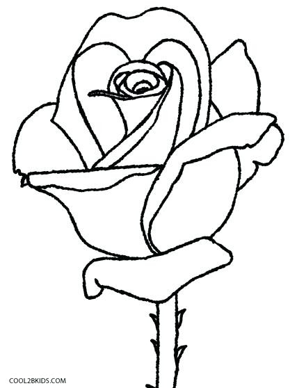 Preschool Coloring Sheets Roses
 Wondrous Inspration Picture Rose For Colouring Pages