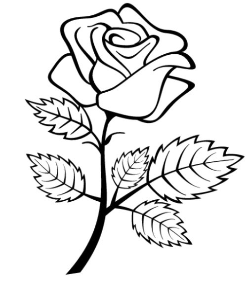 Preschool Coloring Sheets Roses
 Rose Coloring Pages Bestofcoloring