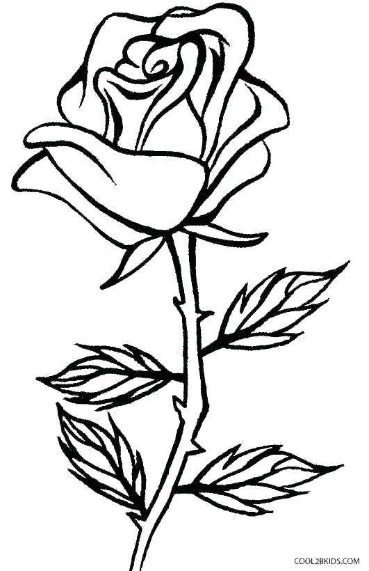 Preschool Coloring Sheets Roses
 coloring page roses – moscowadfo