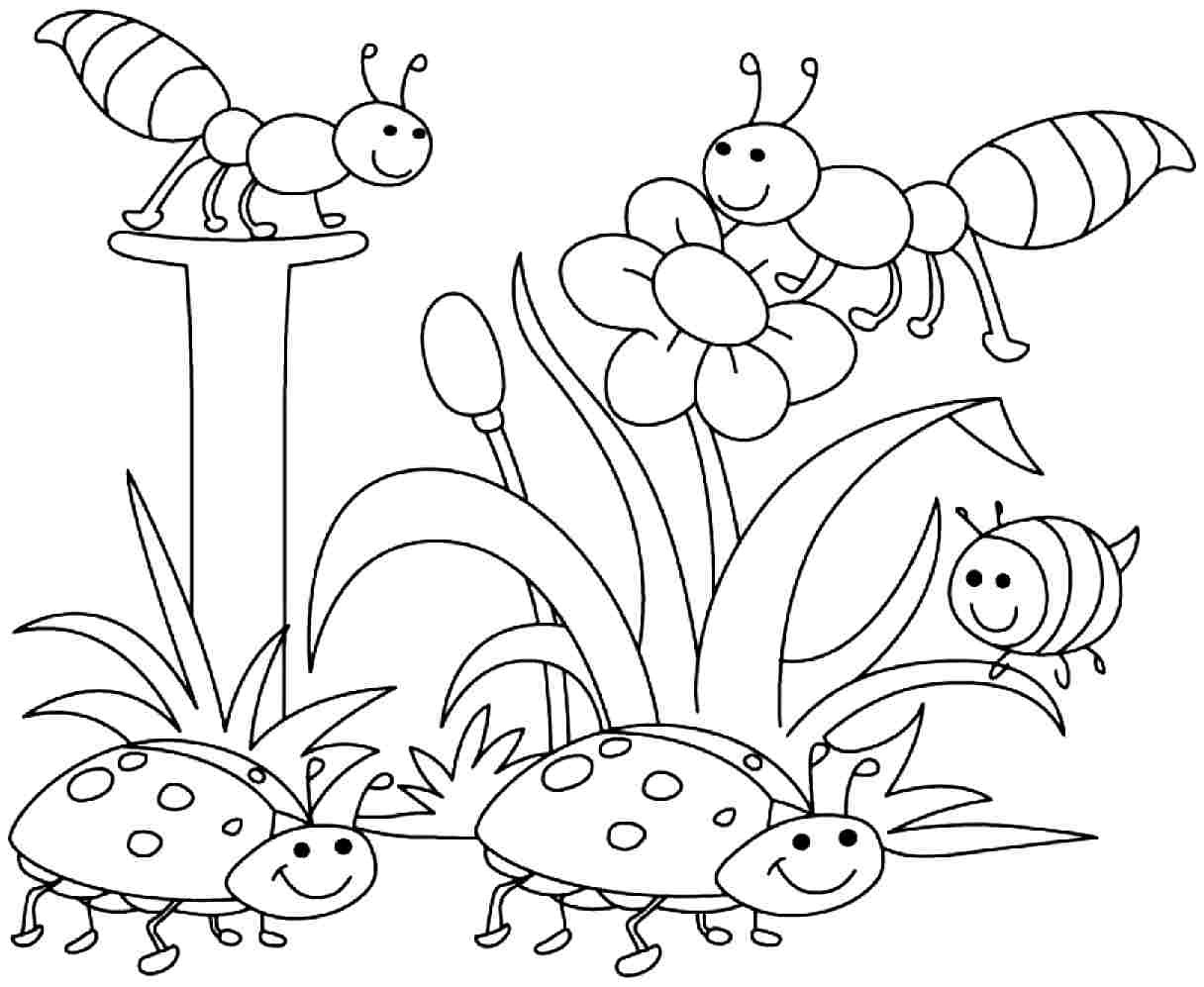 Preschool Coloring Sheets Spring
 spring coloring pages for boys