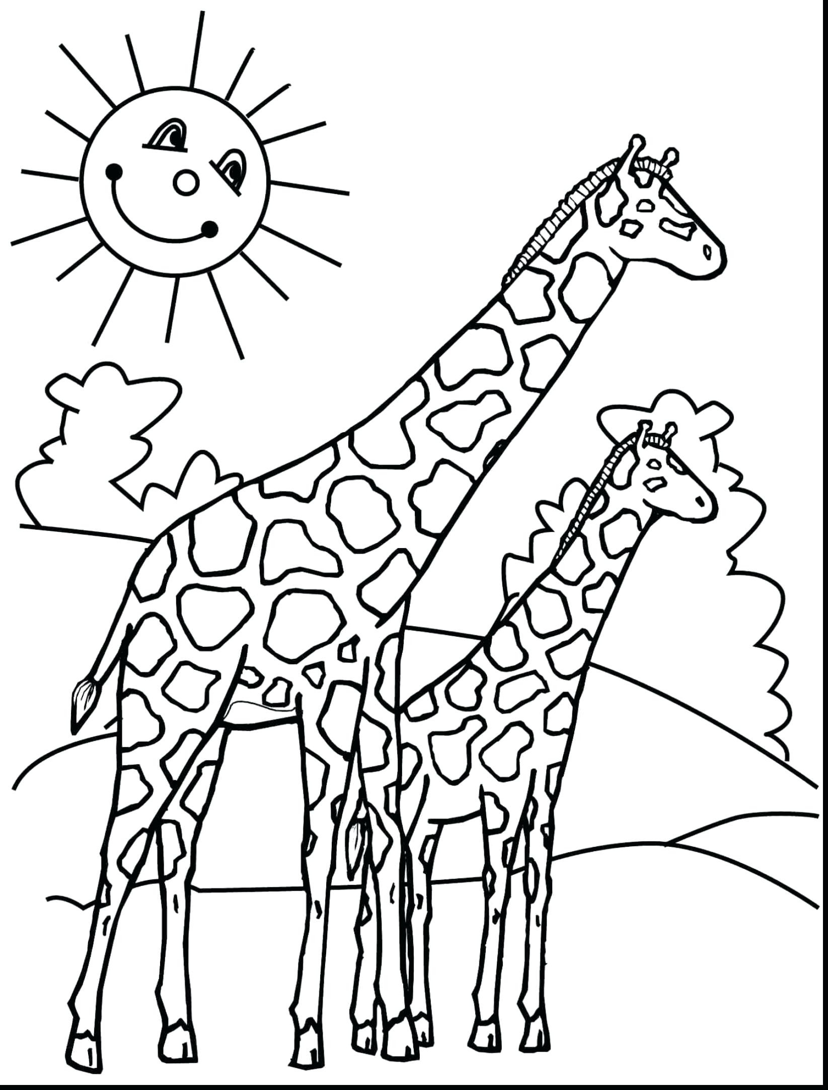 Print Free Coloring Sheets
 Baby Giraffe Coloring Pages Free