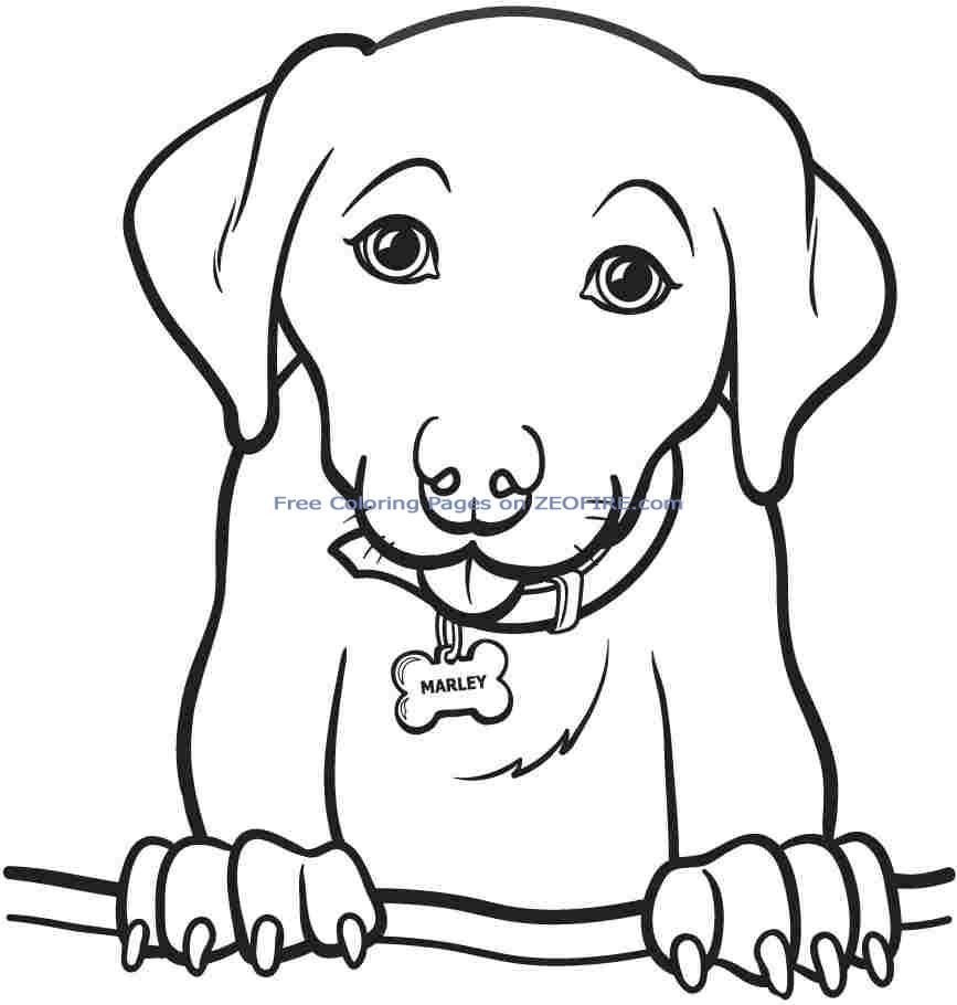 Print Out Coloring Book Pages
 Coloring Pages For Girls To Print Out Dog Pitchers Dogs