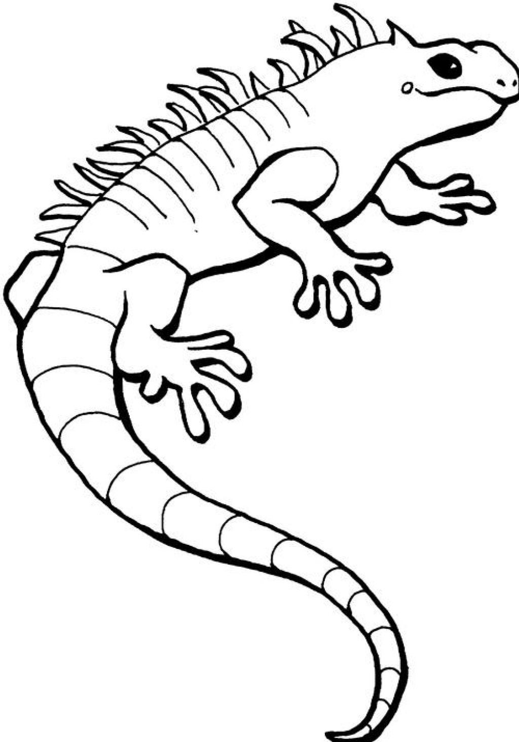 Print Out Coloring Pages
 Free Printable Iguana Coloring Pages For Kids