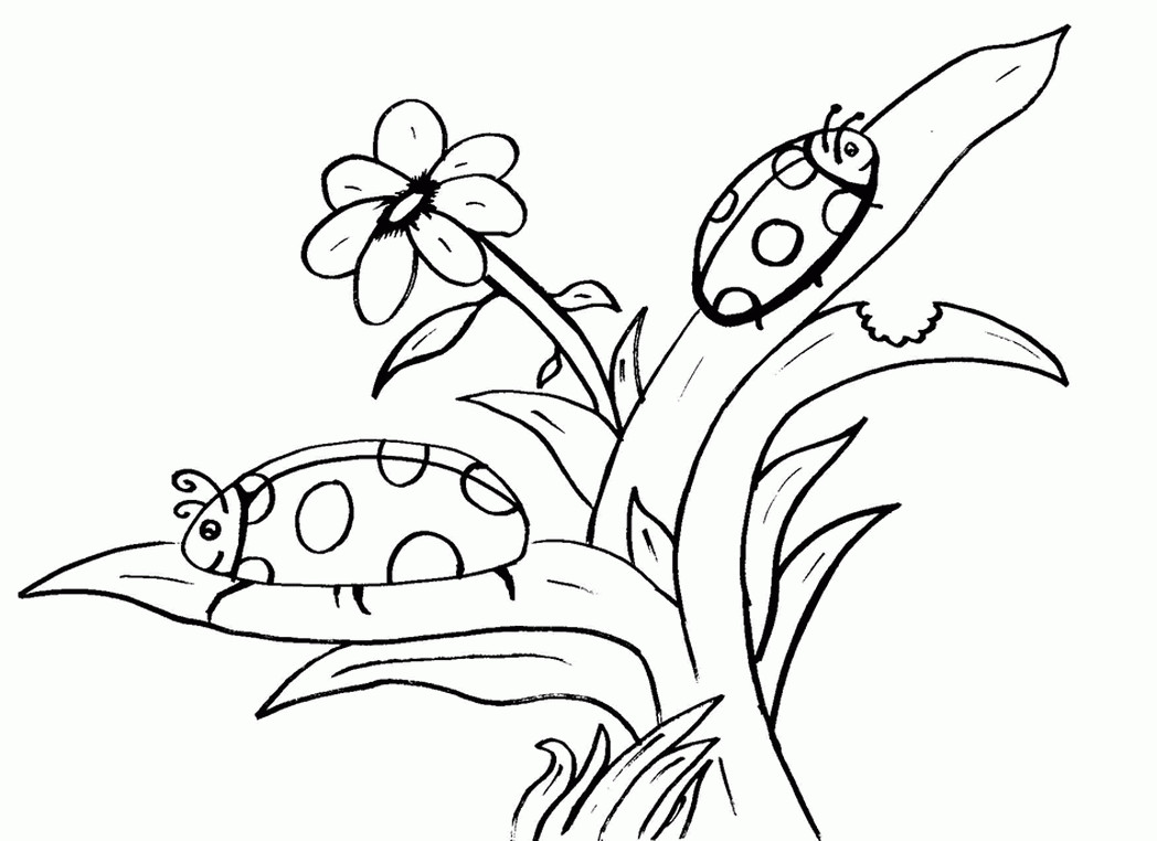 Print Out Coloring Sheets For Girls
 print out coloring pages for girls Coloring Pages