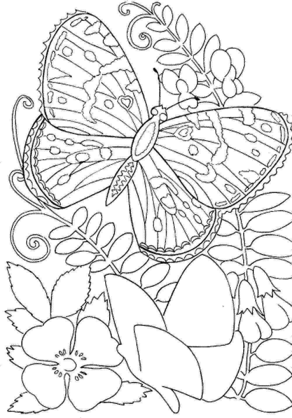 Printable Adult Coloring Books
 Coloring Pages for Adults Free Printable 42 Collections