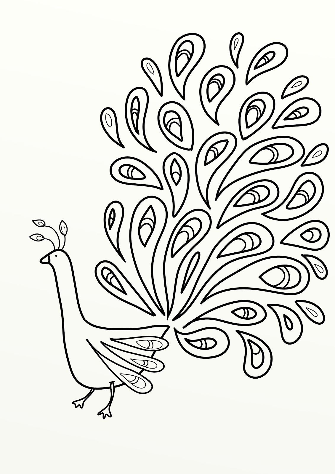 Printable Coloring Pages Of Peacocks
 Peacock Coloring Pages