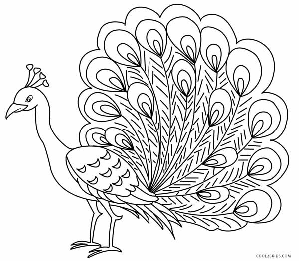 Printable Coloring Pages Of Peacocks
 Printable Peacock Coloring Pages For Kids