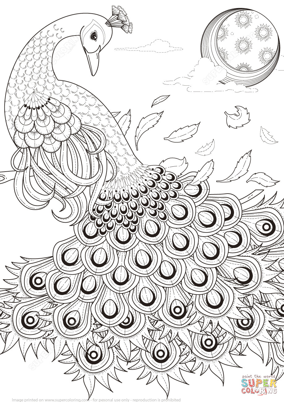 Printable Coloring Pages Of Peacocks
 Graceful Peacock coloring page