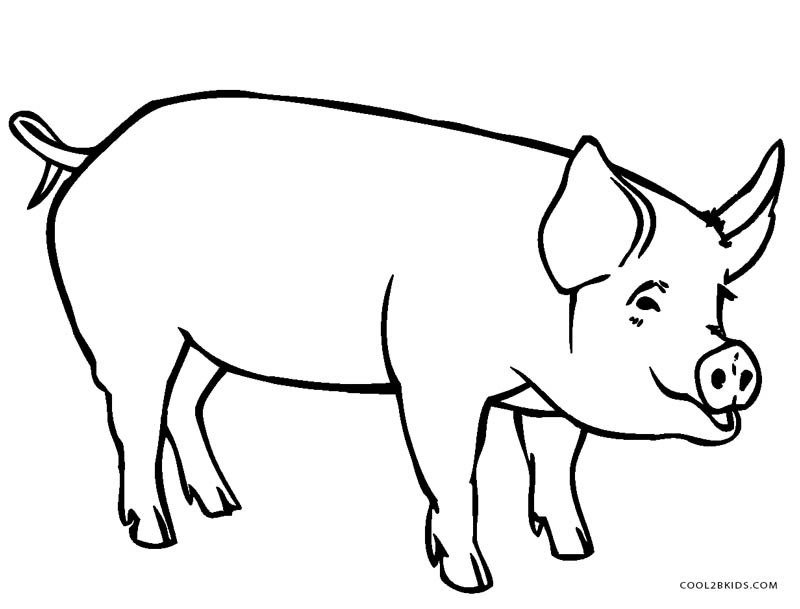 Printable Coloring Pages Pigs
 Free Printable Pig Coloring Pages For Kids