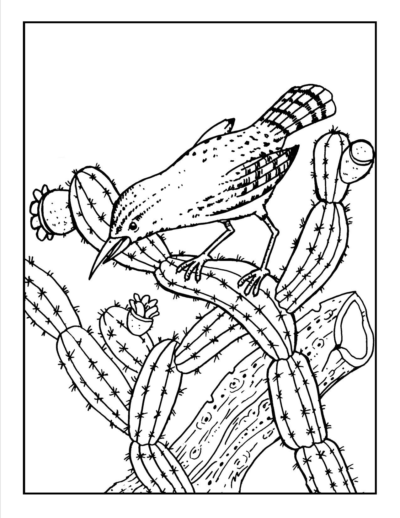 Printable Coloring Sheets Free
 Free Printable Cactus Coloring Pages For Kids