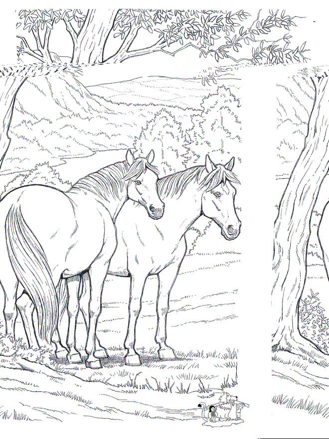 Printable Horse Coloring Pages For Adults
 Free Printable Horse Coloring Pages For Kids