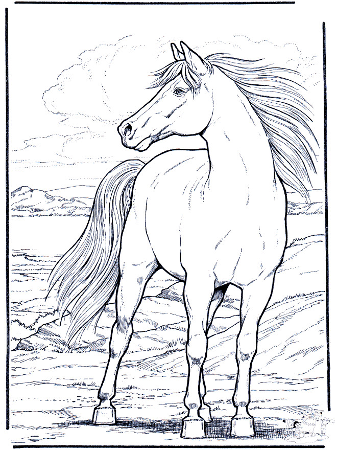 Printable Horse Coloring Pages For Adults
 Printable coloring pages