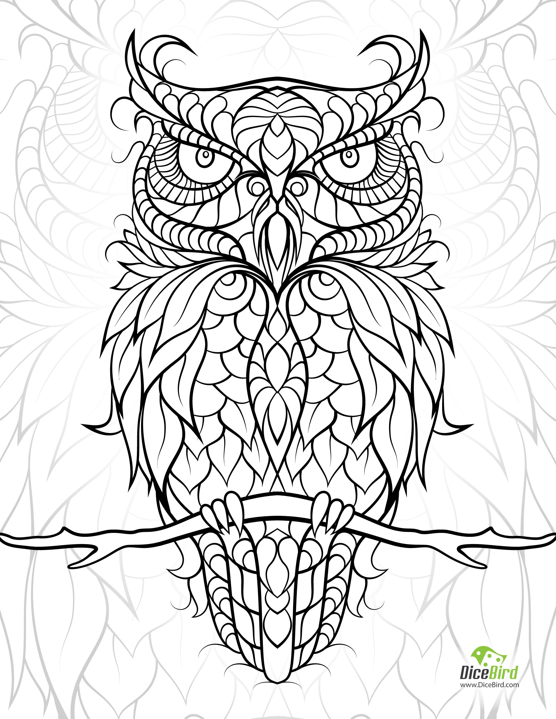 Printable Owl Coloring Pages
 Birds of Prey Coloring Pages Bestofcoloring