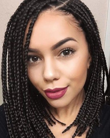 Professional Braided Hairstyles
 black professional natural hairstyles and african american