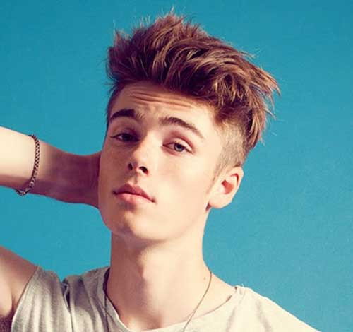 Punk Hairstyle Male
 15 Punk Hairstyles for Men