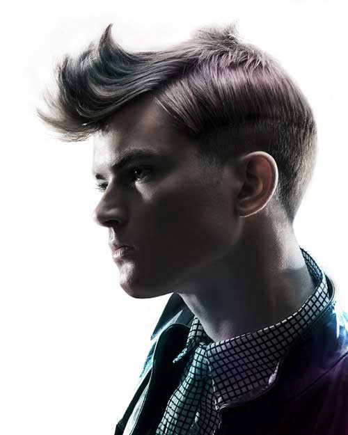 Punk Hairstyle Male
 15 Punk Hairstyles for Men