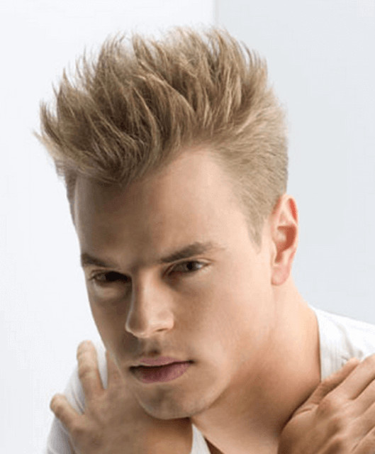 Punk Hairstyle Male
 Mens Punk Hairstyle
